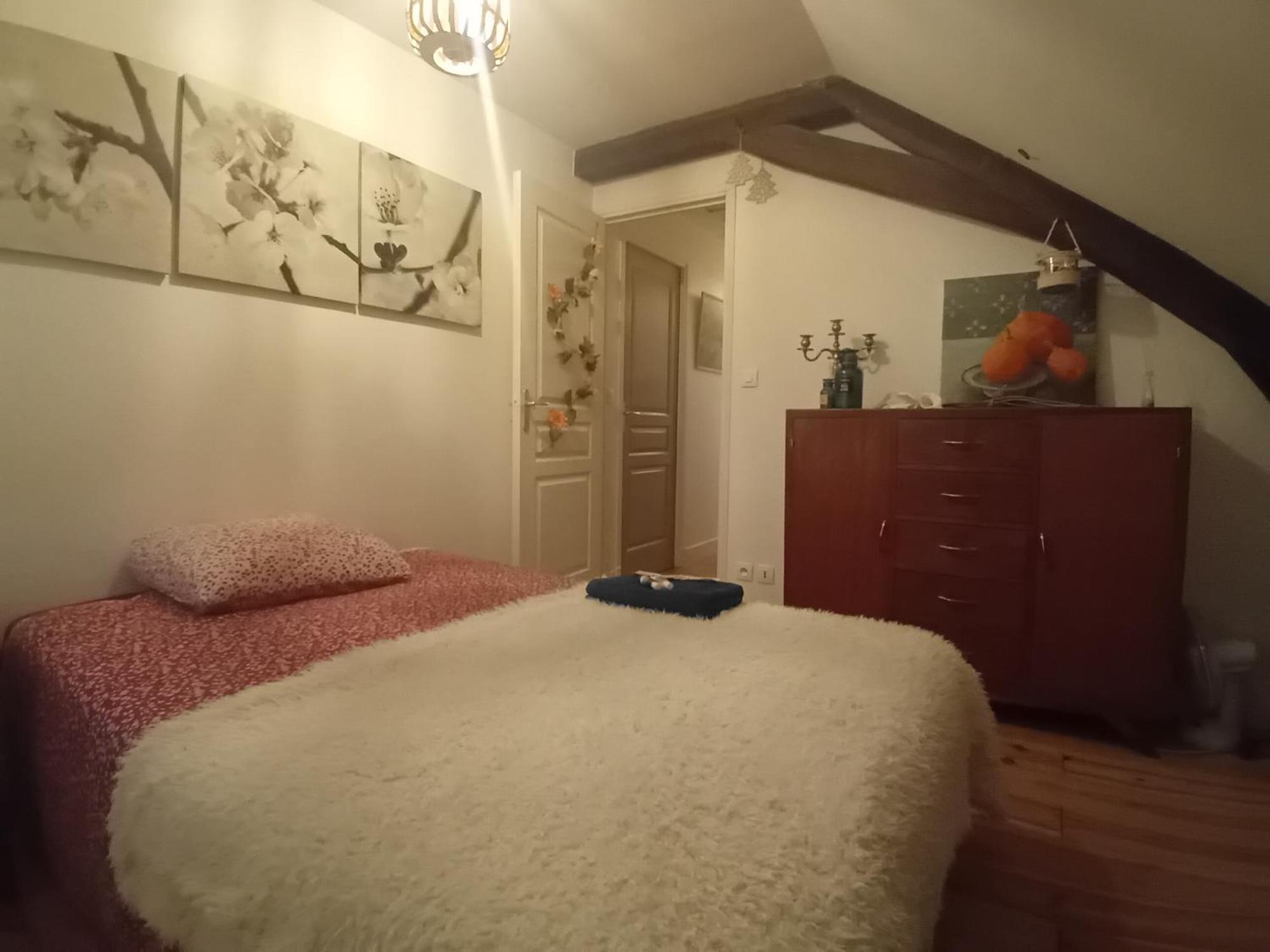 Chez Isa Chambre Chez L'Habitant Emma モンルイ・シュル・ロワール エクステリア 写真
